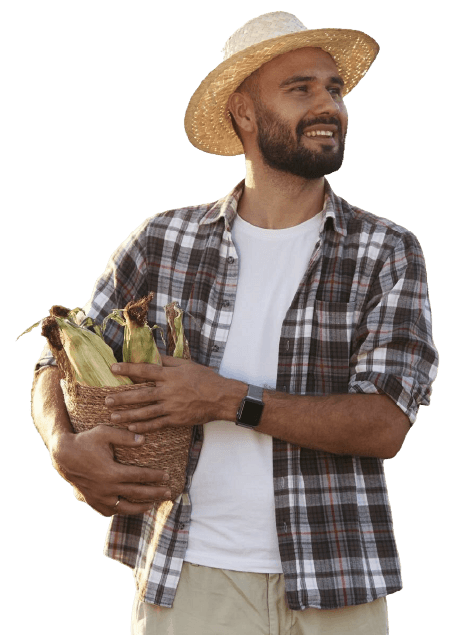 Image d'un fermier tenant du maïs dans ses mains