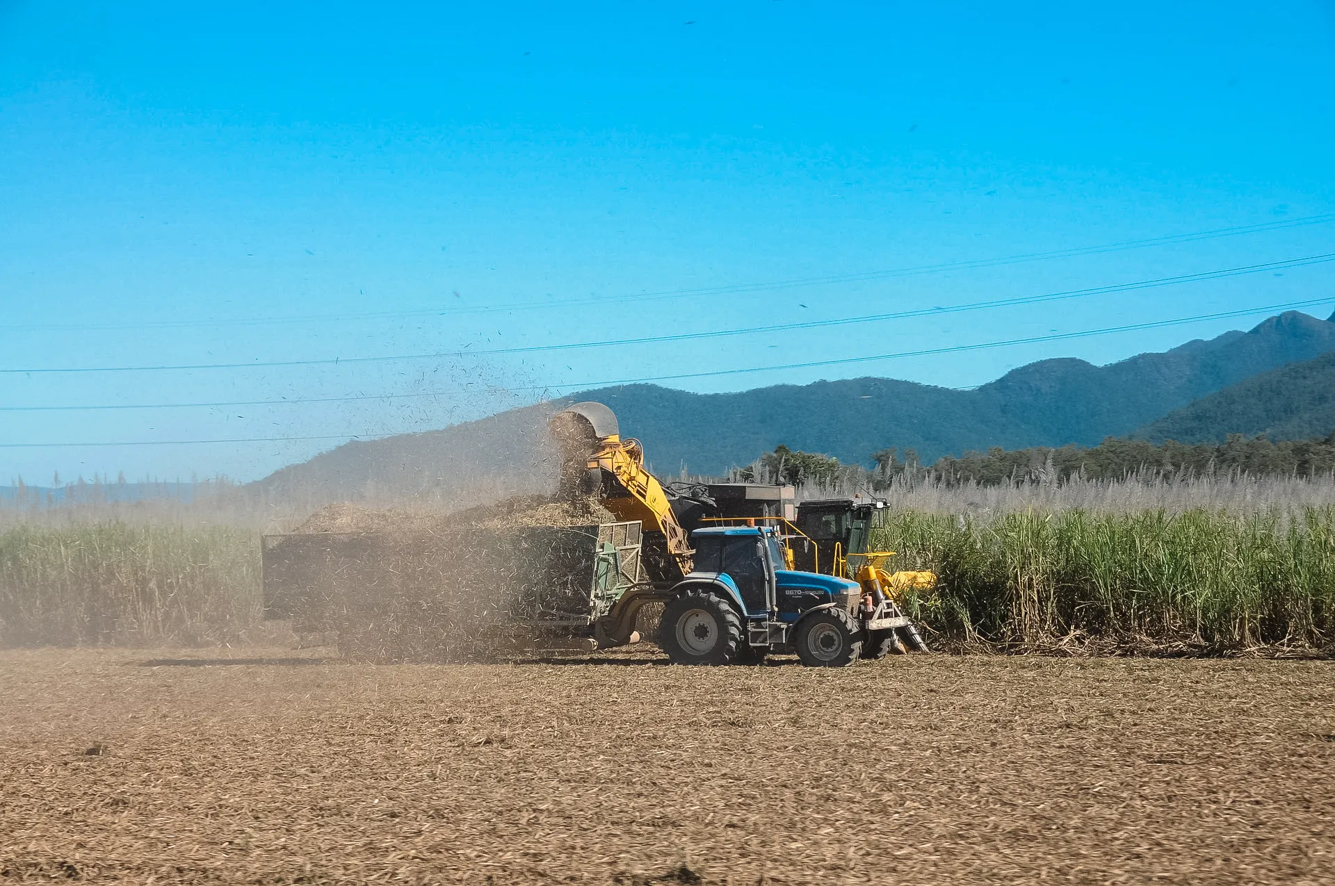 Image de tracteur qui récolte la canne à sucre